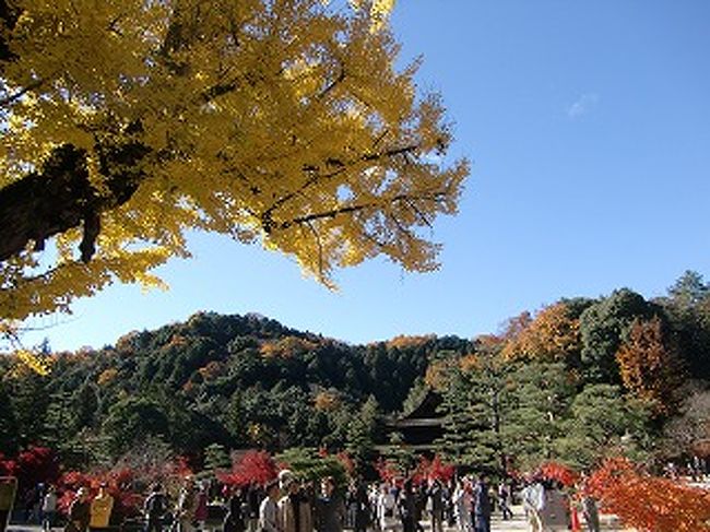 ２０１０年紅葉 多治見市 永保寺 多治見 岐阜県 の旅行記 ブログ By ハートネッツさん フォートラベル