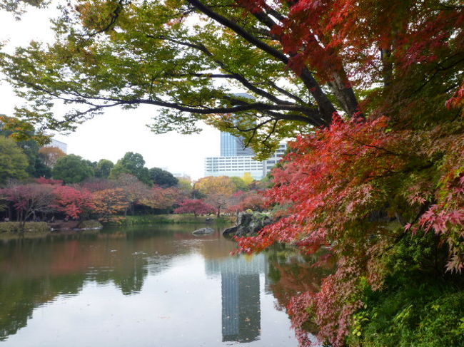 江戸の香り　美しい紅葉の東京名園めぐりＶｏｌ３　小石川後楽園