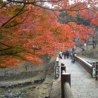２０１０・晩秋・養老公園紅葉散策と絶景露天IN遊季の里
