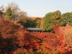 ３年ぶり！　秋の京都で見るも食べるも大満足！！　２日目