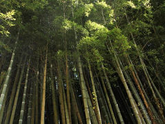 ひとり旅 ［823］ 標高535mの篁山（たかむらやま）の山頂付近にある寺院へ＜竹林寺＞広島県東広島市