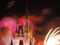 2010年8月 Walt Disney World   第二部