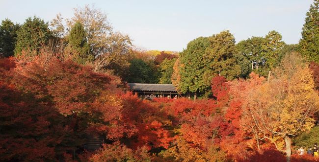 京都旅行２日目は東福寺からスタート。通天橋から見渡す絶景の紅葉を見るために早起き。朝食も早々に済ませてバスに乗り東福寺に向かいました。もっとも、考えることはみんな同じ。拝観時間前から多くの観光客で入り口にはすでに列が！！まずは、東福寺で紅葉を堪能して、紅葉めぐりのスタートです。