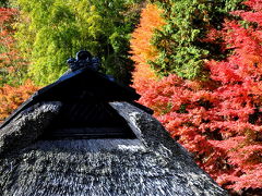 2010　紅葉を追いかけて（8）　永源寺ダム通過