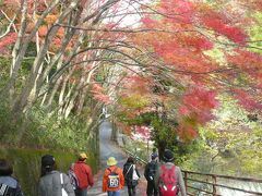 紅葉の摂津峡で（京都南部・大阪東部合同オフ会）