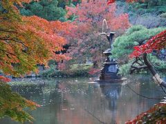 紅葉を求めて日比谷公園を散策する