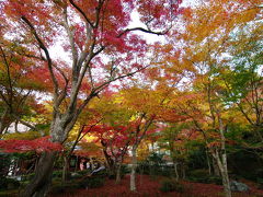 錦秋の庭園　圓光寺へ