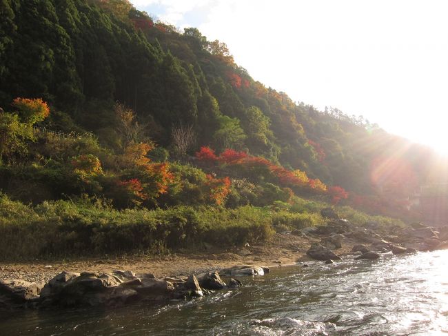 前編は嵐山散策でした。<br />本編は嵐山の廣川で鰻を食べて、嵯峨野トロッコ列車に乗り、保津川下り編です。<br /><br />本当はおばんざいバイキングを食べようと思ったんだけど、大行列のため諦めて鰻を食べました。<br />嵯峨野トロッコは、リッチ号に乗り込み、あっという間に終わった感じです。<br />トロッコの終点の亀岡駅から、バスで20分移動して保津川下りを2時間程度やりました。2時間はちょっと長かったので、ついいっぱい写真を取ってしまった。船頭さんのトークが意外と面白かった<br /><br />