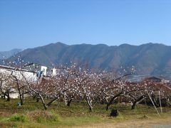 秋の塩山～勝沼歩き旅　