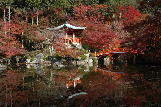紅葉狩りに京都市内へ出掛ける。<br />この日は、「毘沙門堂」、「隨心院」（前の旅行記）を訪ねた後、<br />「醍醐寺」にて、紅葉を楽しむ。<br /><br />春の花見も良いけれど、秋の紅葉も素晴らしいのが醍醐寺。<br />今回は、伽藍（金堂・五重塔・弁天堂）を巡ったのみで、<br />時間の都合上、三宝院、霊宝館には立ち寄らなかった。　<br /><br />・醍醐寺<br />　真言宗醍醐派の総本山。874年（貞観16）聖宝が山上に草庵を結び准胝（じゅんてい）如意輪両観音像を彫刻・安置したのが始まり（上醍醐）。926年（延長4）下醍醐が開かれ、金堂、五重塔などを建立。応仁・文明の乱の戦火で五重塔を除く堂塔伽藍を焼失したが、1598年（慶長3）豊臣秀吉の花見をきっかけに再興された。上醍醐の准胝堂は西国三十三ヵ所第11番札所。創建時の五重塔、桃山時代に移築された金堂、および上醍醐の薬師堂はいずれも国宝。絵画では絹本着色五大尊像（国宝）など多数の文化財を所蔵。2月23日の五大力さん、4月第2日曜日の豊太閤花見行列は有名。1994年（平成6）12月「古都京都の文化財」として、「世界遺産条約」に基づく世界文化遺産に登録された。【京都観光ＮａｖｉのＨＰより】<br /><br />・醍醐寺拝観料等<br />　　①三宝院庭園・殿舎の拝観料　　　６００円<br />　　②伽藍(金堂・五重塔等)の入山料　６００円<br />　　③醍醐寺霊宝館の入館料　　　　　６００円<br />　　　　＊２枚つづり共通券　１０００円（三宝院、伽藍、霊宝館のいずれか2施設）<br />　　　　　３枚つづり共通券　１５００円（三宝院、伽藍、霊宝館の3施設の拝観）<br />・駐車料金　７００円<br /><br />・醍醐寺のＨＰ<br />　　　http://www.daigoji.or.jp/　　　　　　　　　　　　　　