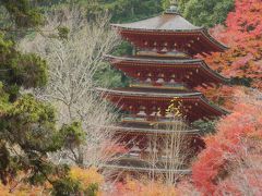 赤ちゃん連れで行く長谷寺の紅葉in奈良