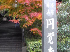 鎌倉山歩き 　天園ハイキングコース