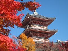 紅葉の京都 2010(清水寺)