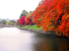 １日で琵琶湖ぐるっと１周５ヶ所の紅葉見物～