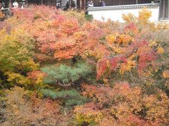 「そうだ、岐阜から、京都、行こう。」２０１０・晩秋・王道の京都紅葉巡り・後編