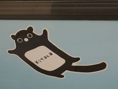 北海道満喫（2日目）今日は美瑛に行こう。その1