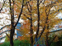 隣近所の秋の風景