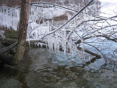 道南釣りの旅-2010-/今回も厳しかった洞爺湖の魚たち