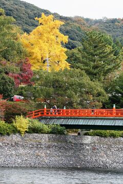 2010秋、宇治上神社(1/4)：宇治川、橘橋、公孫樹の黄葉、楓の紅葉、宇治川先陣之碑