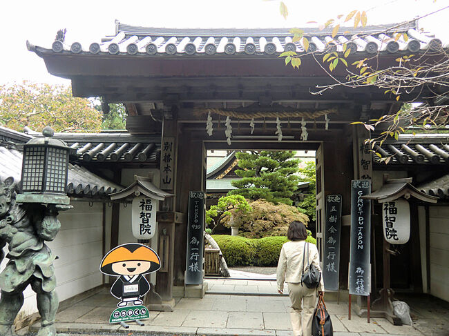 秘湯では有りませんがとても珍しい温泉宿を経験して来ました。<br />世界遺産、高野山に泊まるには宿坊と呼ばれるお寺に泊まるしか有りません。<br />現在52カ所の宿坊が有りますが唯一天然温泉が湧き出る宿坊が福智院です。<br />福智院は鎌倉時代より高野山に有り、宿坊としても800年の歴史が有り、敷地5000坪、井伊家とつながりの深い真言宗の立派なお寺です。<br />約5年前温泉が湧き、高野山で唯一の温泉宿坊となりました。<br />露天風呂も有りますが、畳敷きの風呂場には驚きました。<br />食事はもちろん精進料理で、ビールも焼酎もOKです。<br />オプションとして朝のお努めや写経が有ります。<br />お寺と温泉、悟りと俗界。高野山の懐は大きい。<br />宗派を問わず、信仰心の少ない私でも受け入れてくれます。<br />さすがに若い人は少ないようでしたが外人さんが多いのには驚きました。<br />一度は泊まってみたい温泉宿です。<br />高野山のお寺巡りと高野山温泉、宿坊『福智院」1泊2日のいい旅でした。<br />