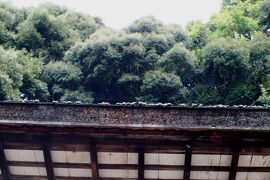 2010秋、宇治上神社(3/4)：宇治上神社、拝殿、立砂、御神木の欅、桐原水、春日社、狛犬