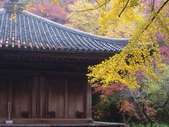 紅葉を訪ねて④富貴寺