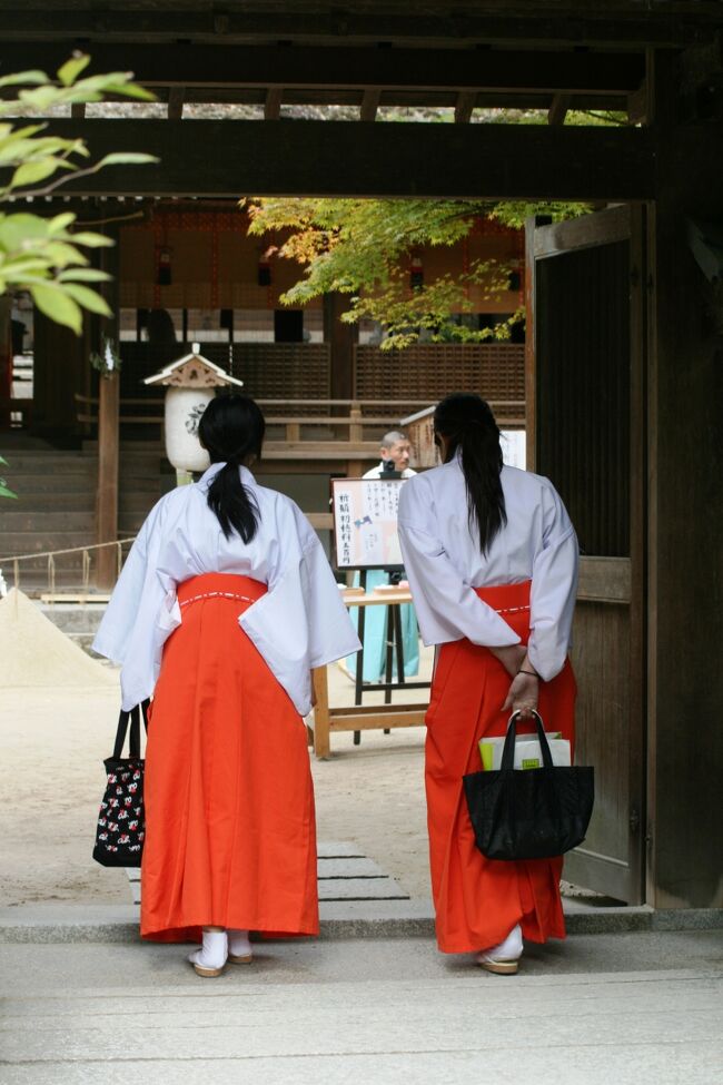 17箇所の古都・京都の世界遺産の一つ、宇治上神社紹介の締め括りです。宇治上神社見学の後、直ぐ近くの宇治神社にも立寄りました。