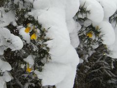 ボーンマスの旅行記