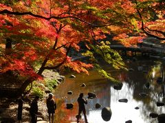 『　都内　の　大名庭園！　「小石川　後楽園」　で、　紅葉　散歩。　　』　（今日　は、後楽園の　ご近所！を　歩こう～。　そして、　隣町！・・・夜の　神楽坂！も　歩いて　みよう～。）