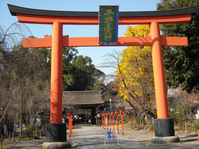 久しぶりに京都を訪れて、御所、二条城、北野天満宮と紅葉を見て歩きました。<br />地図で北野天満宮の近くに「平野神社」を見つけたので訪ねましたが驚きました。表紙にあげた鳥居には「平野皇大神」とあります。旧官幣大社で正一位と神格は高いのに、なんとカマドの神様も一緒でした。<br />以下、神社の由来記などからの受け売りです。<br /><br />もともと平城宮の後宮の中にあった神社だそうで、平安遷都の794年に神社としては唯一社、天皇家と一緒に京都に移ってきた神社でした。現在でも、なんと宮中に「平野御竈神」が祀られているそうです。<br />当時は御所とほぼ同じく1.5キロ四方の広い境内であったが、金閣寺などに削られ、西大路の拡幅に削られて現在は 180メートル四方になってしまっています。昔は御所と同格だったのかも知れません。<br /><br />ご祭神は<br />今木皇大神（イマキノスメオオカミ）今来に通じ渡来人の神という説もある。<br />久度大神　（クドオオカミ）竈の神＝生活の神。古開大神　（フルアキオオカミ）邪気払いの神＝平安の神<br />比売大神　（ヒメノオオカミ）女性の神＝生産の神<br />これらの四柱をまとめて「平野皇大神」と称するが、「皇大神」と言えるのは五社しかないそうです。<br /><br />沿革は古く、782年の続日本記に「今木大神に従四位を授ける」とありますが、864年には今木皇大神が正一位、久度大神、古開大神が正三位、比売大神が従四位と格が急上昇して、927年の延喜式では全国で唯一の皇太子が祭りを執り行う神社となっていて、明治四年には官幣大社となったそうです。<br /><br />野次馬として見ると、782年から864年までの約80年間に、これらの神様を昇格させるべき何かの出来事があったのだと推察します。<br />時代的には、藤原北家の良房が840年代に参議から右大臣まで昇って、851年正二位、857年に太政大臣従一位に急上昇して、858年に孫の清和天皇を９才で即位させて、後の藤原家の繁栄の基礎を築いたことと符合しています。<br />いずれにせよ、藤原北家や皇室と極めて親密な神社ですが、「今木神は百済王である」とする説も江戸時代にはあったそうです。「今、来た」ということなのでしょう。<br /><br />社殿はきわめて見事で、特徴があります。<br />「平野造り」あるいは「比翼春日造り」と呼ばれる二殿一体の本殿が、南北に二棟つらなり、南殿は1625年、北殿は1632年の建立である。東向きに並んだ社殿には、北から今木皇大神、久度大神、古開大神、比売大神の順に祀られている。つまり主祭神の社は後から完成した北殿です。<br />参道の末社の最後のところには土着の（先住の）クニツカミの猿田彦神社がありました。<br />以上、神社の由来記などからまとめてみましたが、天皇家と親密で神格も高い神様なのに、あまり聞きなれない名前の神様たちです。<br /><br />私が小さいときには神棚に祀られている天照皇大神だけでなく、井戸の神様、便所の神様、竈の神様など、いたるところに神様がいました。<br />素人考えですが、天皇家の先祖のようなアマツ神ではなく、先住民のクニツ神でもない、原始宗教にちかいと思われるカマドの神様たちが、最高の神格を授けられて宮中にも祀られていることに、驚きと親しみを感じました。<br /><br />現在は桜が有名で、数百本の桜が神苑に植えられています。花の季節にはさぞ見事だろうと思います。<br /><br />