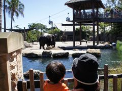 子連れシドニー【3.タロンガ動物園でお昼寝編】