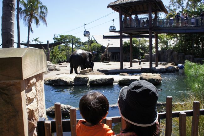 ちびＱ（1歳2ヶ月）を連れての初海外旅行。<br />動物園、行っときますか。<br />動物園は大好きなわけじゃないけど、ちびＱが喜ぶなら行くわよ〜。<br />まさか動物園でお昼寝なんてしないよね・ね？<br /><br />☆1.ハイドパークでお散歩編<br />☆2.マンリービーチでぎゃん泣き編<br />★3.タロンガ動物園でお昼寝編<br />☆4.ブルーマウンテンズでウキウキ編<br />☆5.お買い物は退屈編<br />☆6.子連れ総集編