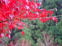 紅葉を訪ねて⑥奥満願寺温泉