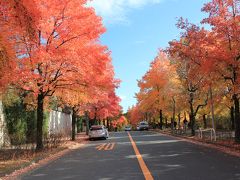 阪急北千里の素晴らしい街並み