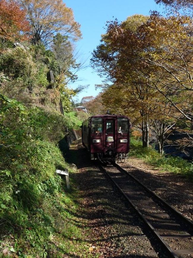 わたらせ渓谷鉄道の本宿駅へ行って、古路瀬渓谷の紅葉を見てきました。<br /><br />本宿駅は、上神梅駅（レトロな駅舎が国登録有形文化財）と、水沼駅（ホームに温泉があって賑わっている）の間にある、比較的地味な駅です。<br />無人駅ですが、トイレと駐車場があります。<br /><br />渡良瀬川の古路瀬渓谷は、大間々駅近くの名勝高津戸渓谷ほどには有名ではありませんし、高津戸渓谷のような遊歩道もなく、わたらせ渓谷鉄道の車窓（できれば名物のトロッコ列車）から楽しむだけの名所ですが、観光地らしくないところが魅力だと思います。