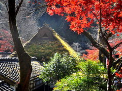 2010　紅葉を追いかけて（12）東海一の紅葉...香嵐渓