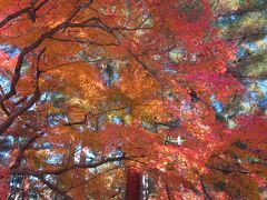 紅葉の京都 2010(南禅寺)