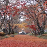 潅木茂れし不毛で広漠たる原野が民に恵みをもたらす豊饒なる農耕地へと変貌を遂げせりし開拓地 ～発展と安定～ 下野國那須野