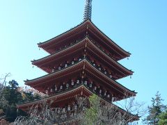 寺社巡り　高幡不動＆大国魂神社編