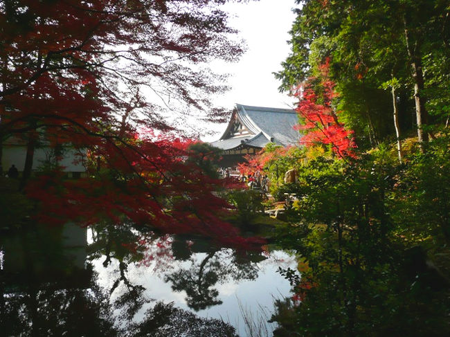 JR東海のCMを見て金戒光明寺に行きたい！って思った人は何人いるんでしょうかね？<br />私もその1人で「そうだ京都、行こう」ってな感じで京都へ来ました。<br />ココ最近はお友達も京都に住んでるので、お友達にも会いに来ました♪<br /><br />今回は紅葉の京都も初めてだし、JR東海のCMが流れてる最中にその場所に行くのも初めてでした。<br />京都っていつも観光客が多いけど、ベストシーズンはやっぱりすごい人ね～って思いました。