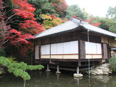 2010年播磨の紅葉②　たつの市龍野公園・新宮東山公園と宍粟市最上山公園の紅葉