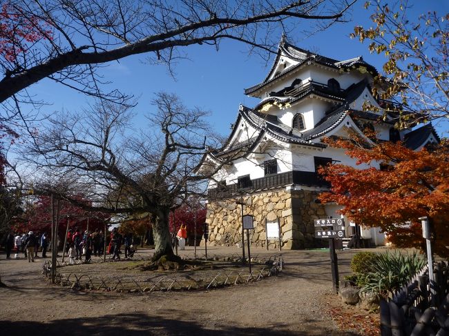 久しぶりの平日の2連休。。。<br />朝早く目が覚め、天気もいい。<br /><br />『じゃあ、近江牛を食べに滋賀に行こう！！』と思いつき出発！！<br /><br />どうせなら彦根城や安土城も見ようということで、<br />男一人ブラブラ滋賀県日帰り旅行。。。のはずでしたが。。。<br /><br />夕方、気がつけば京都にいるではないですか。。。<br /><br />ということで、まずは【彦根城・安土城址散策編】どうぞ！！<br /><br />