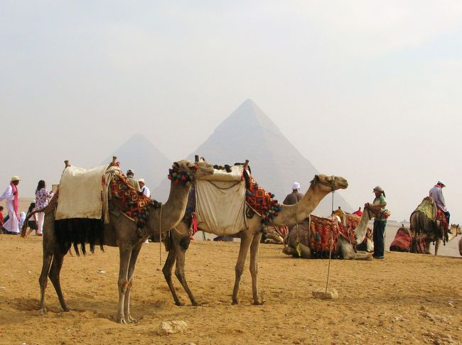エジプト旅行４日目。<br />ルクソールから夜行列車に乗ってカイロの隣町ギザへ。<br />早朝からお決まりの三大ピラミッドとスフィンクスの観光へくりだします。<br />ピラミッドをバックに砂漠を進むラクダは乗りごこちも快適で、定番観光ながらおもしろく過ごせました。<br /><br />＜旅程表＞<br />　２０１０年<br />　１１月３日（水）　成田→関空→<br />　１１月４日（木）　ドーハ→ルクソール<br />　１１月５日（金）　ルクソール→（夜行列車）<br />○１１月６日（土）　→ギザ、カイロ<br />　１１月７日（日）　ギザ、カイロ→ドーハ<br />　１１月８日（月）　ドーハ→関空→成田