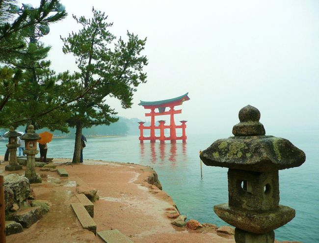 昨日までは好天の広島も、今朝は雨が降っていますが<br />旅のスケジュールを夫妻と相談し、宮島はどうするか？<br />　夫人が行ってみたいと言われ　ＪＲにて秋雨の宮島へ。。。<br /><br />今日は『１１月２２日』　いぃ夫婦の日。。。最後のディナーは<br />お口に合うものを。。。選んで<br />６日間の日本の秋を満喫し（食が残念だった）、午後広島空港から成田へ<br /><br />　６日間同行すれば、別れも辛い雰囲気の４人ではありました。<br />