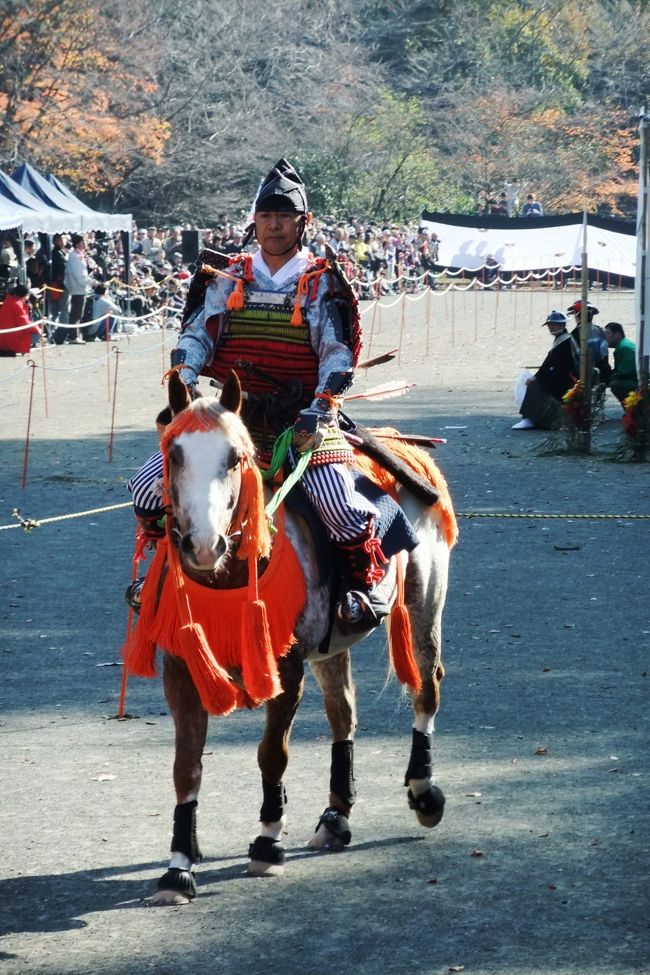 町田ではじめて開催される「町田時代祭り」を見に行ってみました。会場は芹ケ谷公園で、11時に開催されると聞いていたので、その少し前に会場に着くと、もうたくさんの観客で身動きができないほどでした。<br /><br />この日は武者行列と流鏑馬が行われましたが、流鏑馬は初めて見ました。疾走する馬から矢を的に当てるのは至難の業と思えましたが、うまく当てる旗手もいるのですね。驚きました。<br /><br />*日本各地で行われている流鏑馬を紹介するホームページがあります。<br /> https://sites.google.com/site/yabunavi/