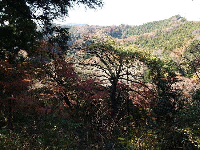 天園峠は良く見ると五差路になっている。獅子舞・鎌倉宮方面と瑞泉寺方面に向かう道の間に登って行く山道がある。この道がどこに通じているのか確かめるためにこの道を上ってみる。この道は山の尾根を行くなだらかな道で、獅子舞谷を迂回しながら「二階堂切通」に下りていく。途中に尾根から左に降りる道があり、天園峠から瑞泉寺方面に向かう道と交わっていた。さらになだらかな道を下っていくと鉄塔があり、そこを下ると右に尾根から谷、獅子舞谷かそれより下あたりに降りる小道があるようだ。これより下は尾根道といっても少し勾配があり、谷に下って行く。その下に紅葉した木が見え、もうそこは二階堂川であり、橋もないところの二階堂川を渡ると「二階堂切通」の街道に出た。「二階堂切通」の街道からはとても道があるとは気付かないような配置になっている。どうやら、「二階堂切通」の街道の十字路であり、この道は今泉方面へ上る道と繋がっているようだ。先ほどの尾根から谷に下りる小道は傾斜を緩くなるように「二階堂切通」の街道のさらに山側に迂回しているかつてあった道ではあるまいか。これも「市道・私道看板」のあるあたりで十字路で交わり、今泉方面へ上る道と繋がっているのかも知れない。<br />(表紙写真は獅子舞谷を迂回する道)