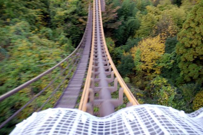 遊園地よみうりランドは想像以上に空いていて、どのアトラクションも殆ど待ち時間なしで楽しめます。<br /><br />天候は回復してきているものの、気温の上がりはいまいちなので、お昼はラーメンを食べて温まります。<br />