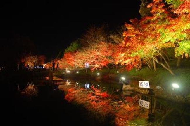 今年も、行ってきました。(3年ぶりでしょうか)<br />毎年バージョンアップしているようで、今年は富士山と虹の回廊でしょうか。ちょうどこの時期、紅葉も重なり素敵な写真が撮れています。