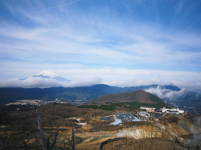 神山は箱根の最高峰で、古くから神の山として崇められてきました。<br />箱根元宮神社では神山を神と仰ぎ、古代祭祀（山岳信仰）が行われていたそうです。<br />箱根を語るうえで避けて通れないと思い、神山に登山してみました。<br />私は箱根ロープウェイ姥子駅をスタート地点として大涌谷まで３０分、大涌谷から神山まで１時間の行程でした。<br />箱根散策、ハイキングのコースの１つとして参考になればと思います。