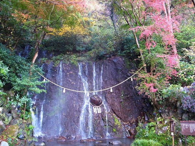 今回の方が紅葉は綺麗に感じましたが、箱根全体で言えば　殆ど終わりでした